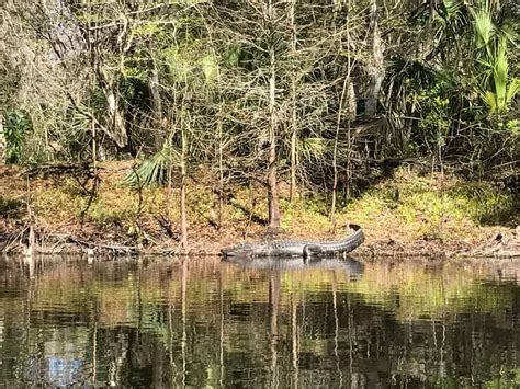 Hillsborough River State Park closed after hurricane